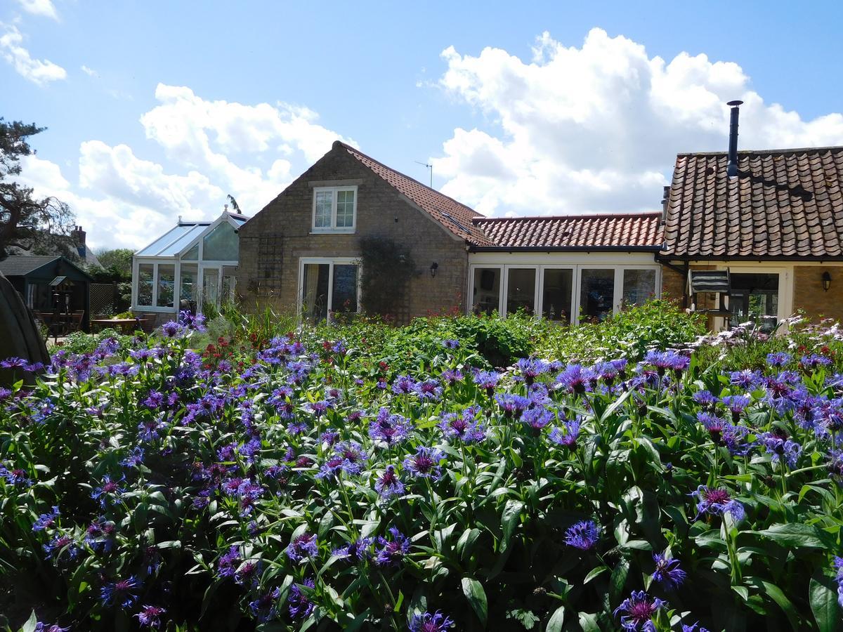 Foxholm Bed And Breakfast Scarborough Eksteriør bilde